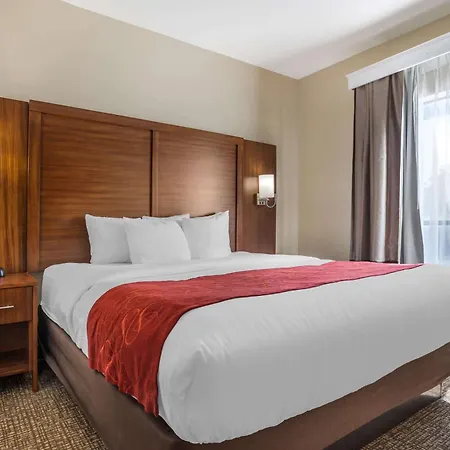 Comfort Suites Old Town Spring-3